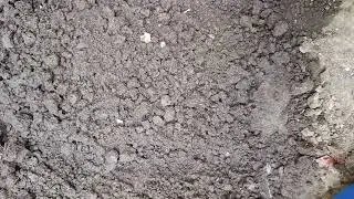 Pagpupunla ng mga gulay😍 