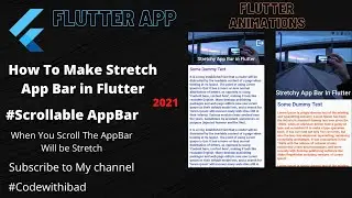 Stretchy Appbar in flutter || Scrollable App Bar In Flutter