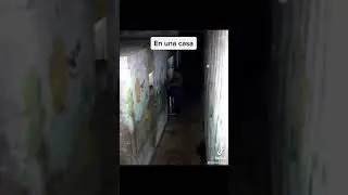Cosas aterradoras encontradas en casas abandonadas 