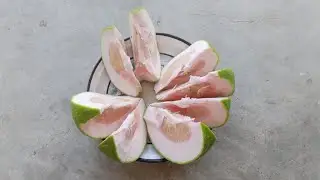 1kg One Lemon Harvesting & Cutting / Part 2