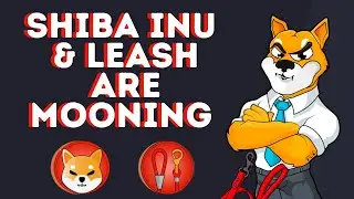 SHIBA INU - Now 18th Largest Coin By Market Cap