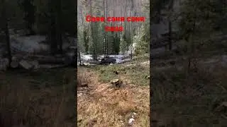 Саня Саня Саня.....
