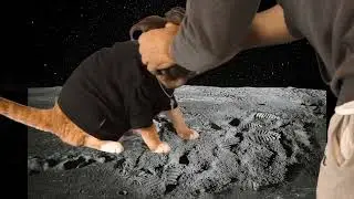 Keyboard Cat Moon Rehearsal