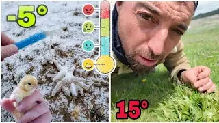 CİVCİV KURTARMA OPERASYONU.NE VAR YOK DONDU.KAR VE AYAZ..KOYUNA ÖZĞÜRLÜK
