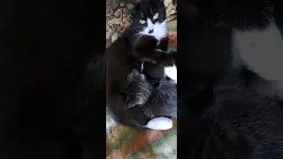 хорошая мама