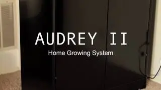 Audrey II