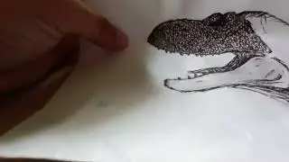 rex timelapse