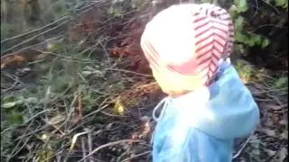 рубим ветки