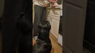 все на контроле 