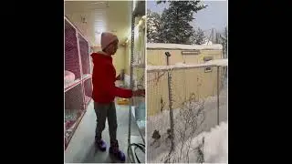 Гостиница для животных Петрозаводск