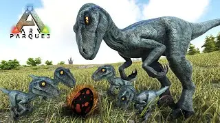 LA FAMILIA DE BLUE! BETA Y LAS CRIAS DE DINOSAURIO VELOCIRAPTOR! dinosaurio inteligente ARK Parque 3