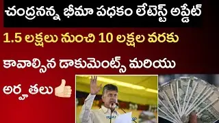 AP చంద్రనన్న భీమా పధకం లేటెస్ట్ అప్డేట్. కావాల్సిన డాకుమెంట్స్ మరియు అర్హతలు👍🏻