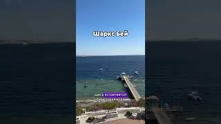 Бухты без ветра. Египет зимой