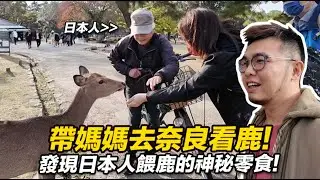帶媽媽去奈良看鹿！發現日本人餵鹿的神秘零食【狸貓】奈良 鹿