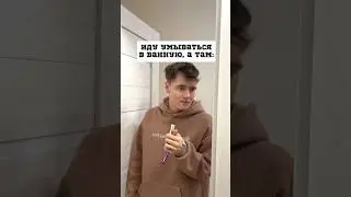 ВЕСЕЛАЯ ЖИЗНЬ С ДВУМЯ КОТАМИ 