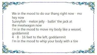 Ween - I'm in the Mood to Move Lyrics