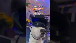 Sticking your ur GYAT 😩 for the RIZZLER 😎 ur so SKIBIDI 🚽so FANUM TAX 🌭 I just wanna be ur SIGMA