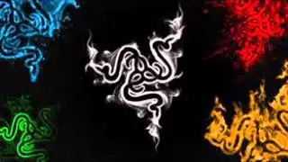 razer  and rok