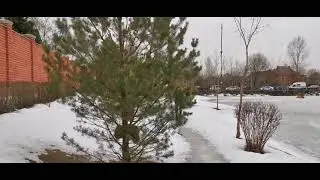 Стрельба в Мытищах