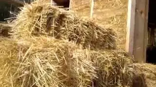 Дом из соломы