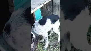 16 октября 2023 г.