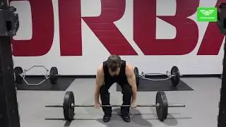 WEIGHT LIFTING - Barbell Deadlift