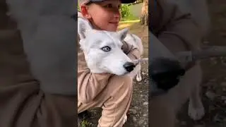 #интересныймир Ромашка - Василёк