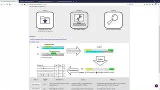 Bioinformatic tools online - Amplicon-sequencing pipeline