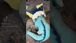 A wild VAPOREON appears! 