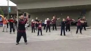 Xinyi Taiji 5 Forms at World Taiji and Qigong Day