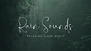 1 Hour Relaxing Rain Sounds for Sleep, Study & Stress Relief | Rainfall Ambience