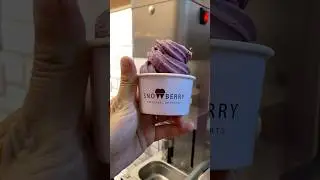 First time ever frozen ice cream in CP Delhi | Snowberry Cafe | #shorts #ytshorts #icecreamrecipe
