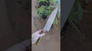 FACA JAPONESA GIUTO  