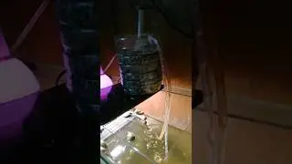 Two waterways in one small pump #diy #aquarium #pets