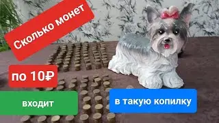 Сколько же там денег // Вскрываем копилку //Копили года два и полтора года ждала вскрытия .