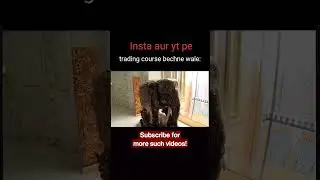 Trading course bechne wale 🤑🤑 #banknifty #forex #stockmarket #stockmarket