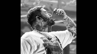 [FREE] Post Malone Type Beat 2023 - "Wasted"
