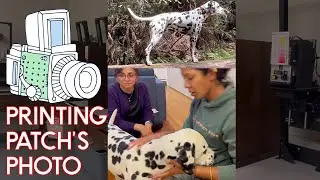 Patch the Dalmatian Gets a Photo Made! How I Print a Basic Silver Gelatin Photo in the Darkroom