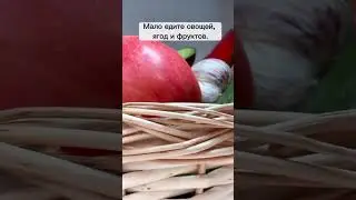 Клетчатка