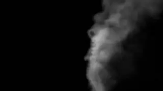 3ds max fumefx biped