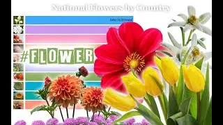 List of National🌺 🌸 🌼 Flowers By Country🌍