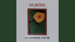 Ayvaz Güzellemesi