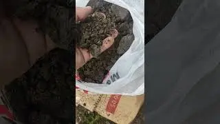 #свой_дом
