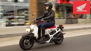 2020 Honda Ruckus Street Scooter