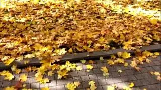 Golden autumn in Moscow. Hermitage Garden