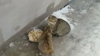 съездили на родник за водой