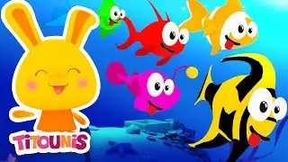 Les Poissons - Comptines bébés