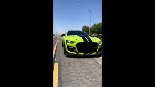 Is Grabber Lime The Best Color For The Shelby GT500? 🐍 