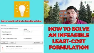 Troubleshooting infeasible solution in least cost feed formulation