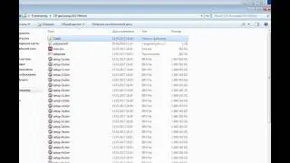 Download the Hitman 2016 Crack (English) for PC
